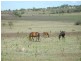 Southbrook QLD 4363