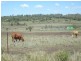 Southbrook QLD 4363