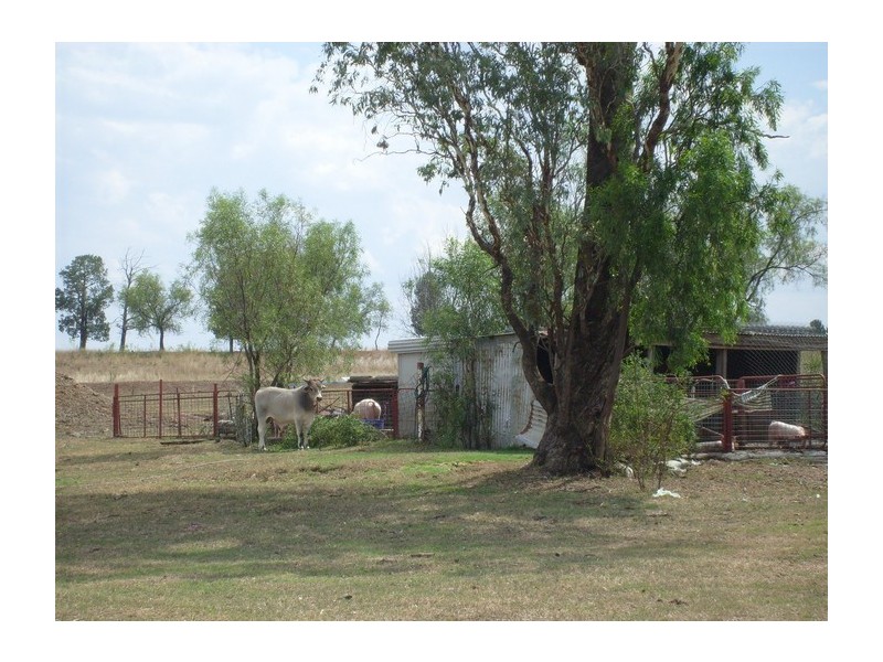 Mount Tyson QLD 4356