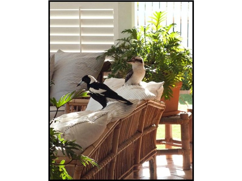 4 Guildhall Court, Murrumba Downs QLD 4503