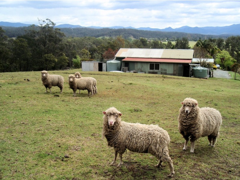 81 Wamban Road, Moruya NSW 2537