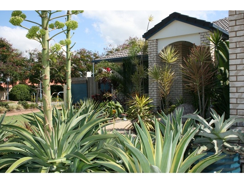 Caloundra West QLD 4551