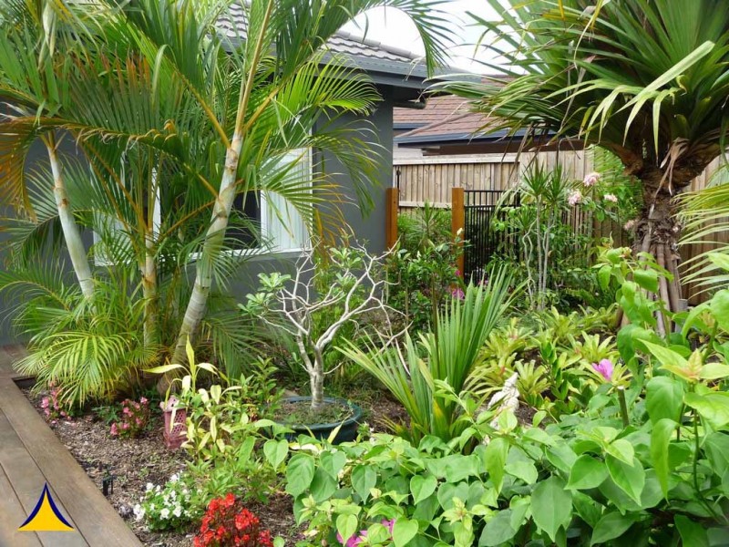 3 Ashwood Circuit, Smithfield QLD 4878