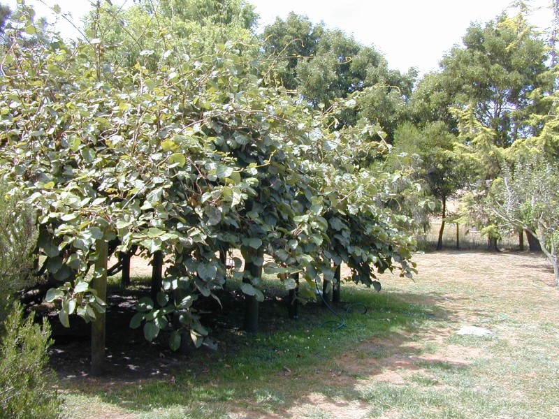 4 Edward Street, Gladstone TAS 7264