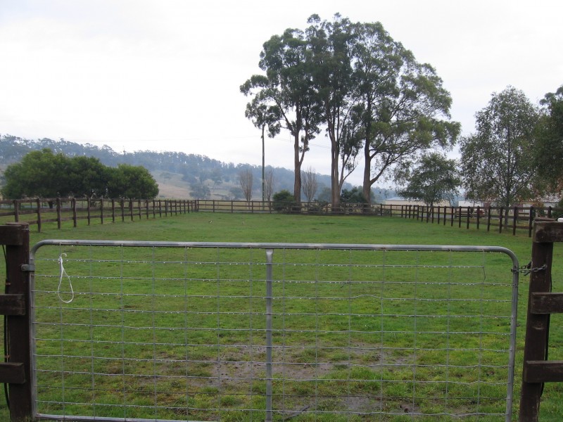 128 los Angelos Road, Swan Bay TAS 7252