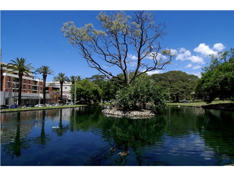 24 Britannia Ave, Burwood NSW 2134