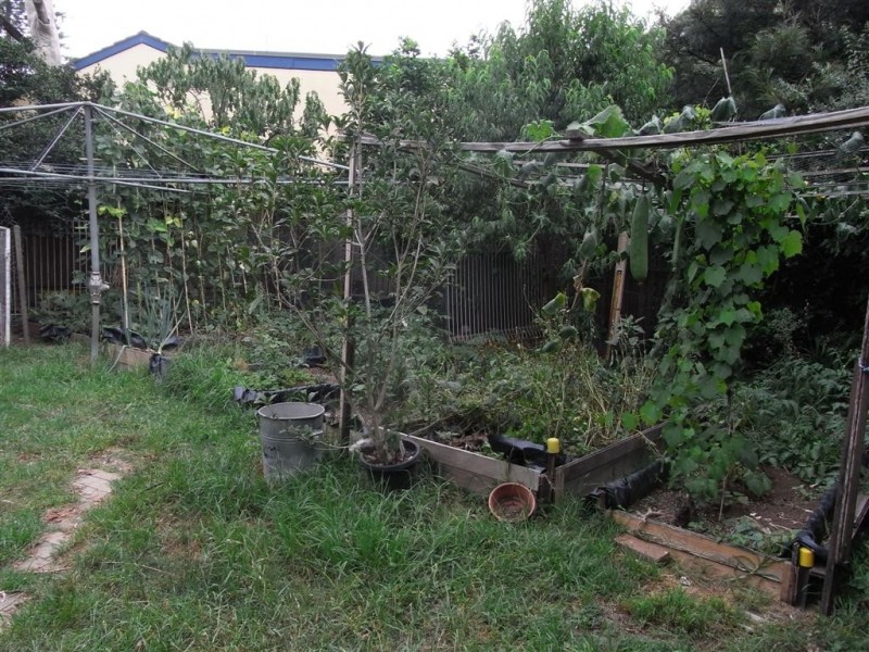 34 Coolibah St, Castle Hill NSW 2154