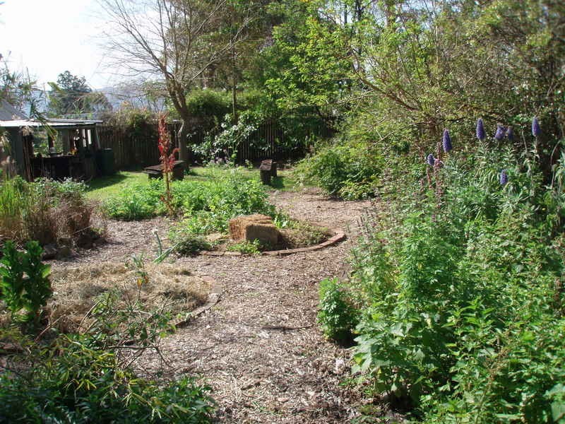 119 terara road, Terara NSW 2540