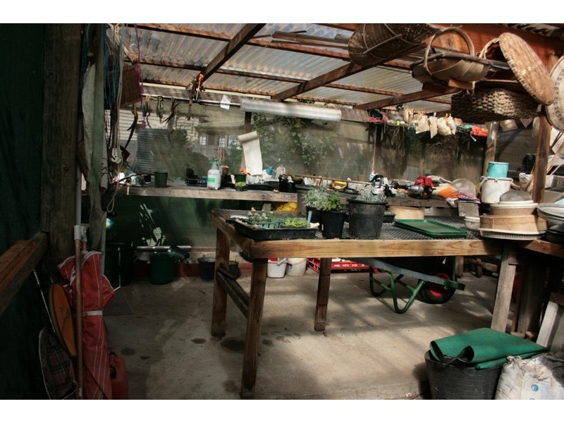 119 terara road, Terara NSW 2540