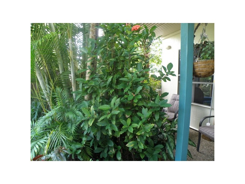 Tin Can Bay QLD 4580