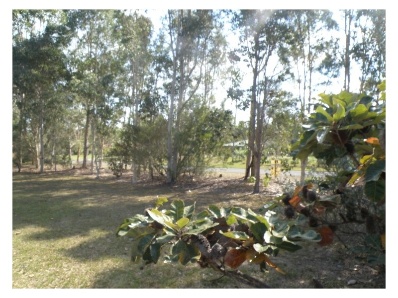 Cooloola Cove QLD 4580