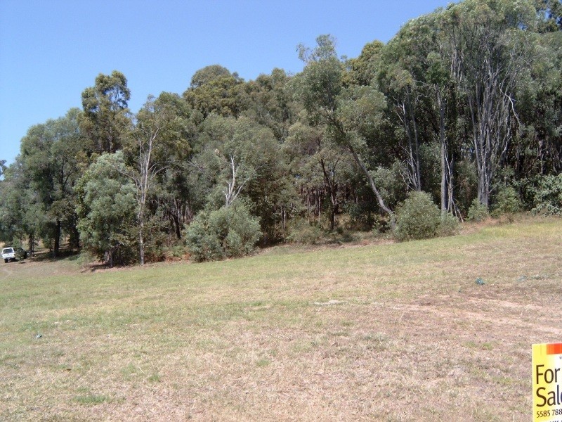 28 Currawong Crescent, Upper Coomera QLD 4209