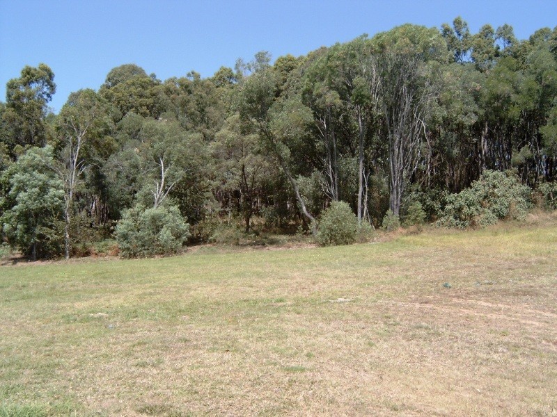 28 Currawong Crescent, Upper Coomera QLD 4209