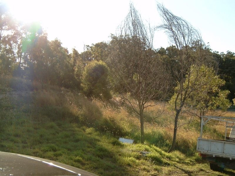 Upper Coomera QLD 4209