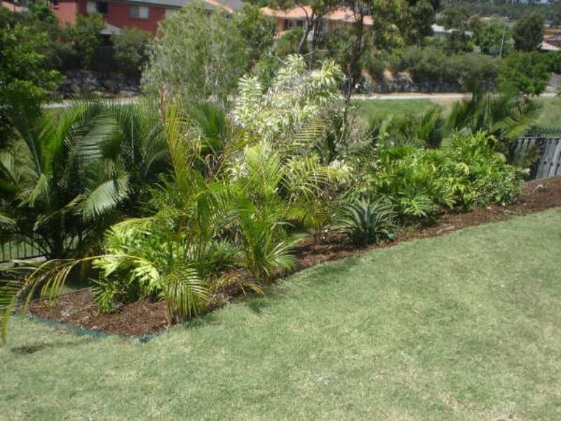 Pacific Pines QLD 4211