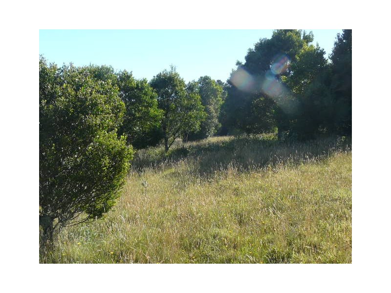 Knights Hill NSW 2577