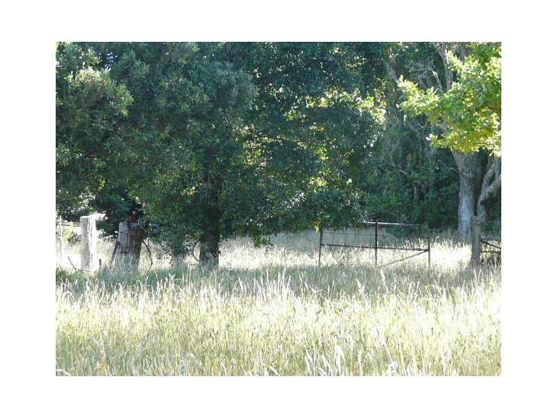 Knights Hill NSW 2577