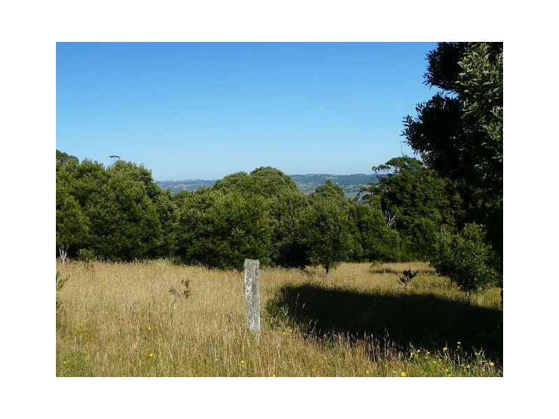 Knights Hill NSW 2577
