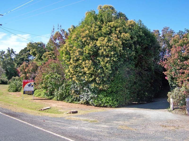 422 Allan Street, Kyabram VIC 3620