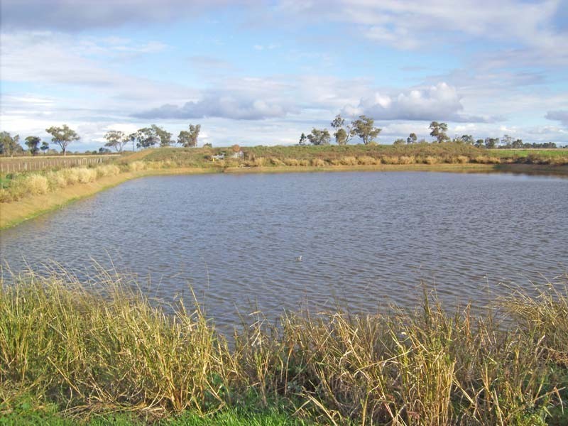 818 Henderson Road, Tongala VIC 3621