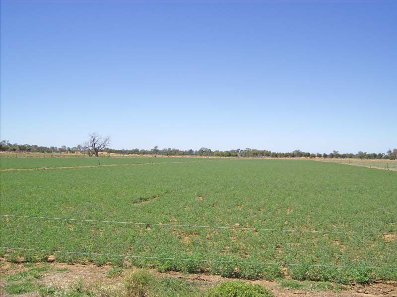 1845 Manley Road, Merrigum VIC 3618