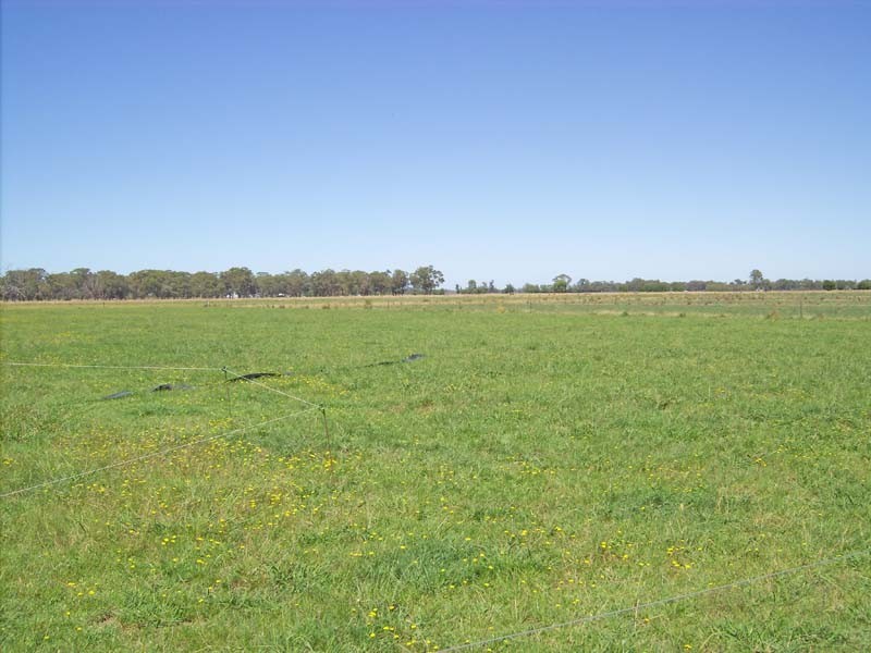 1845 Manley Road, Merrigum VIC 3618