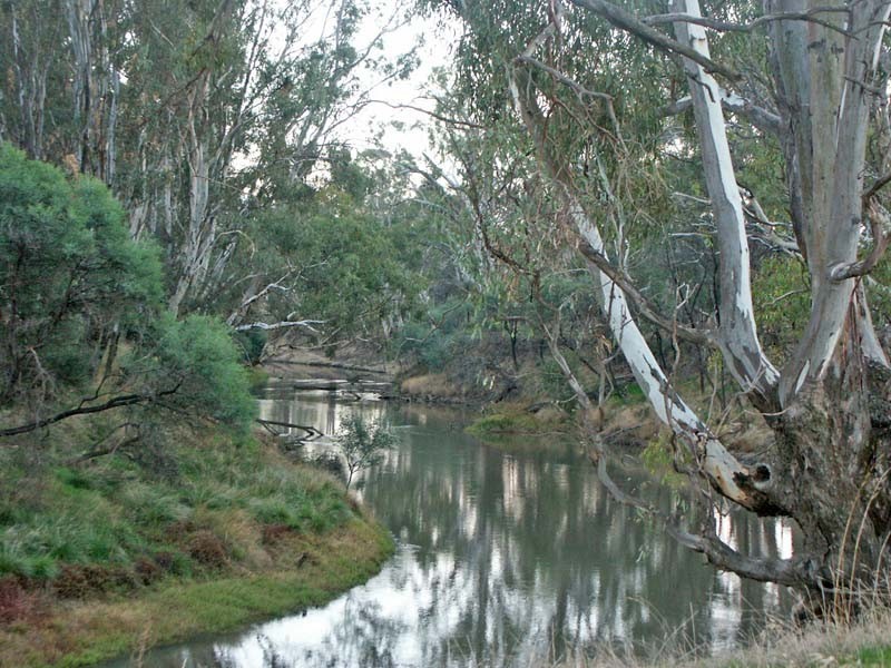 820 Hutchison Road, Undera VIC 3629