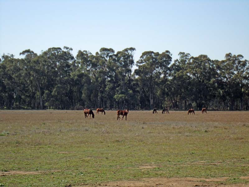 820 Hutchison Road, Undera VIC 3629