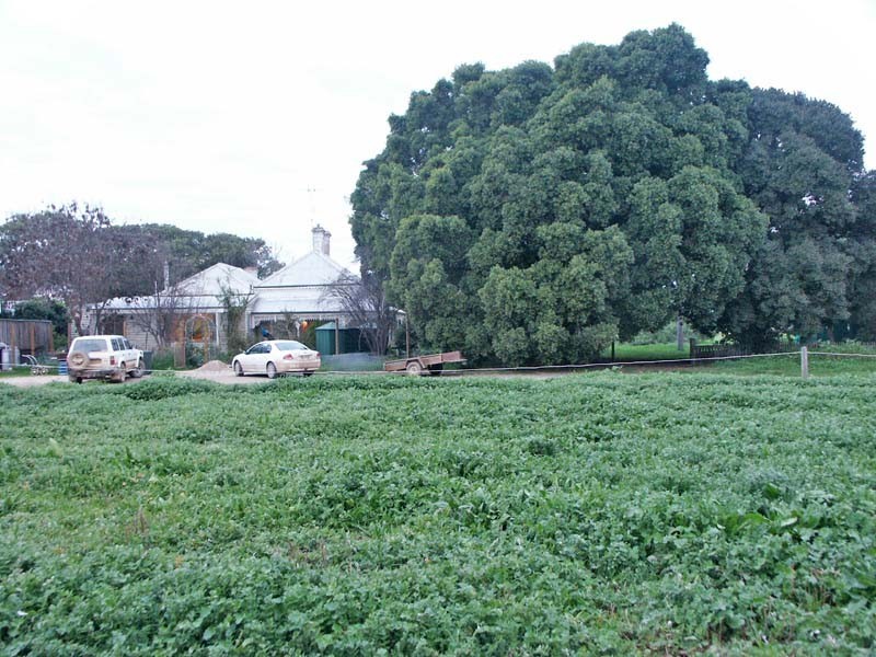 820 Hutchison Road, Undera VIC 3629