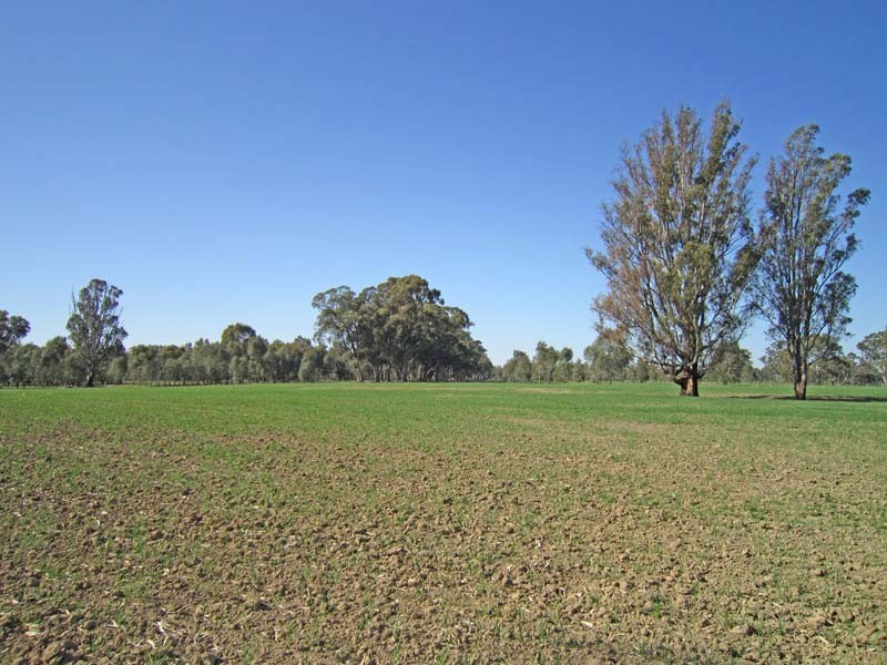 820 Hutchison Road, Undera VIC 3629