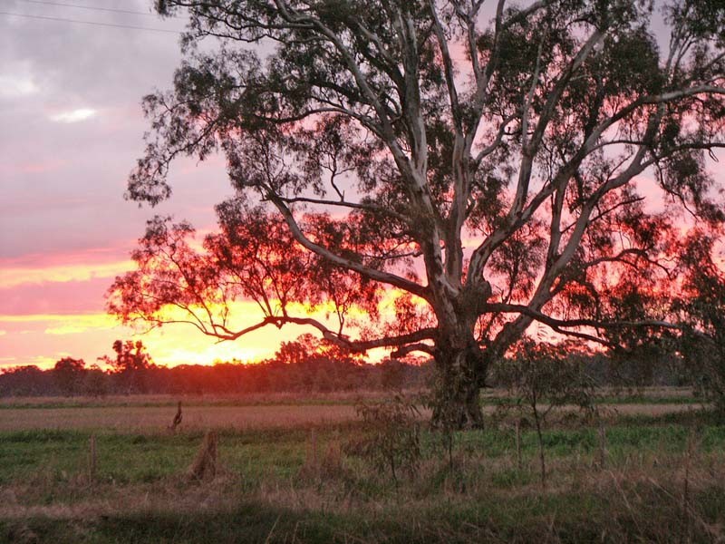 820 Hutchison Road, Undera VIC 3629