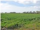 2425 Lilford Road, Kyabram VIC 3620