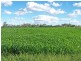 482 Day Road, Tongala VIC 3621