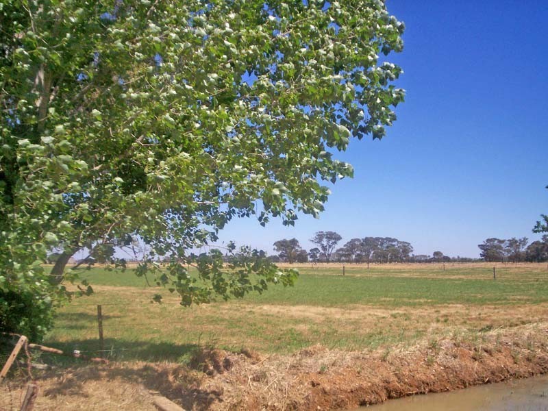 330 Everard Road, Kyabram VIC 3620