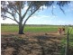 53 Howards Lane, Kyabram VIC 3620