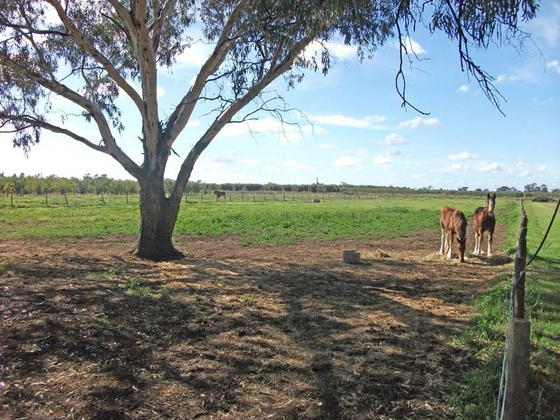 53 Howards Lane, Kyabram VIC 3620
