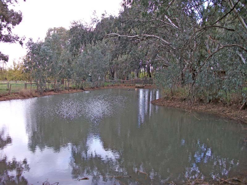 53 Howards Lane, Kyabram VIC 3620