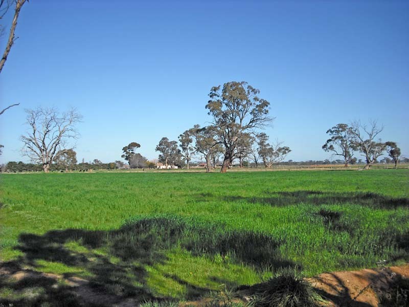 930 Cooma Road, Cooma VIC 3616