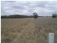 Lot 5 Billabong  Creek Estate, Conargo NSW 2710