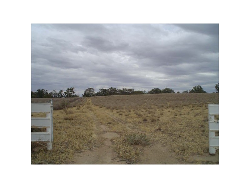 Lot 5 Billabong  Creek Estate, Conargo NSW 2710