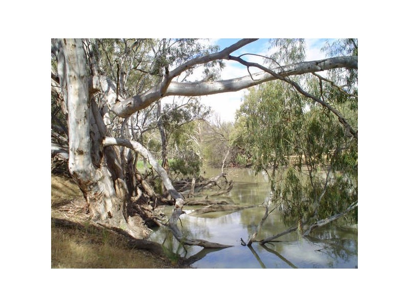 Lot 5 Billabong  Creek Estate, Conargo NSW 2710