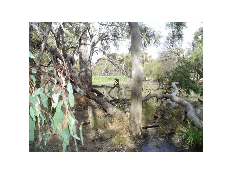 Lot 5 Billabong  Creek Estate, Conargo NSW 2710