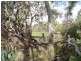 Lot 5 Billabong  Creek Estate, Conargo NSW 2710