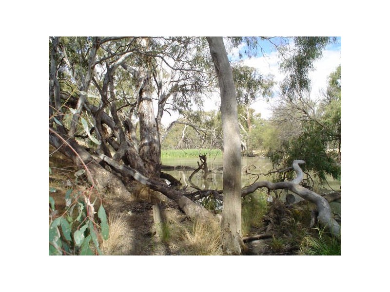 Lot 5 Billabong  Creek Estate, Conargo NSW 2710