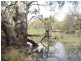 Lot 5 Billabong  Creek Estate, Conargo NSW 2710