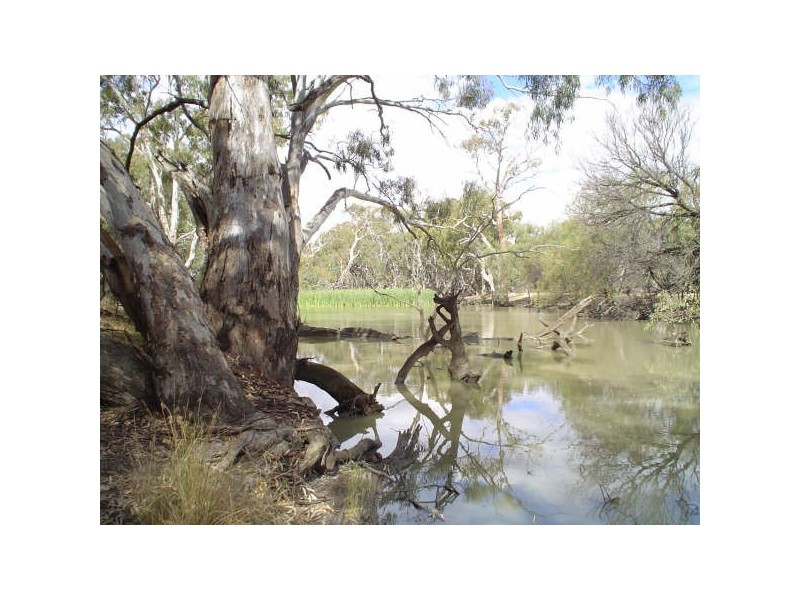 Lot 5 Billabong  Creek Estate, Conargo NSW 2710