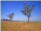 2015 McEwen Road, Merrigum VIC 3618