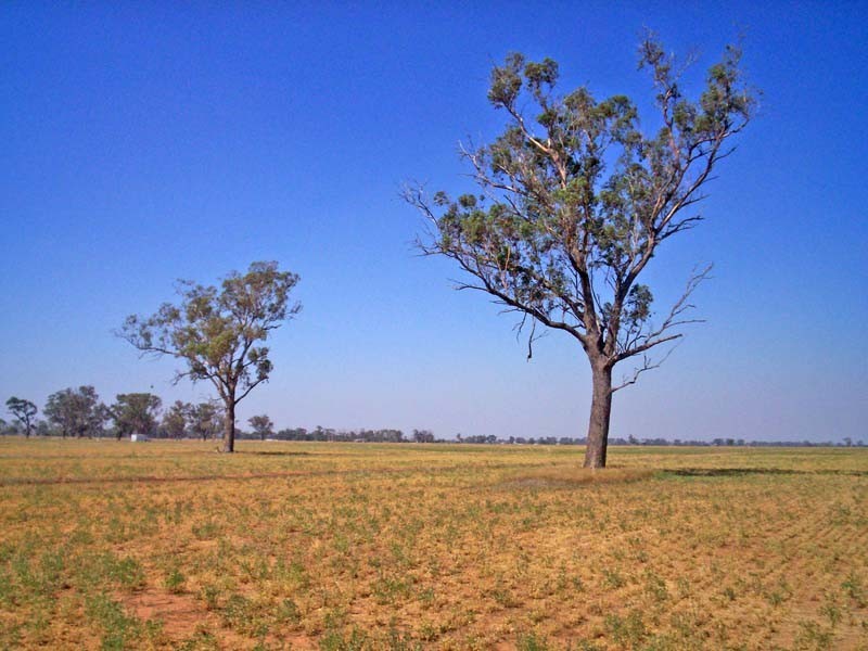 2015 McEwen Road, Merrigum VIC 3618
