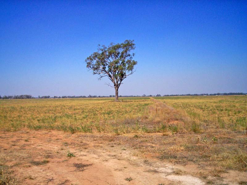 2015 McEwen Road, Merrigum VIC 3618