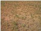 2015 McEwen Road, Merrigum VIC 3618